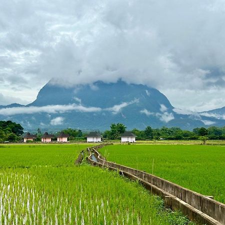 Baan Porhdoi Goidao Villa Chiang Dao Eksteriør billede