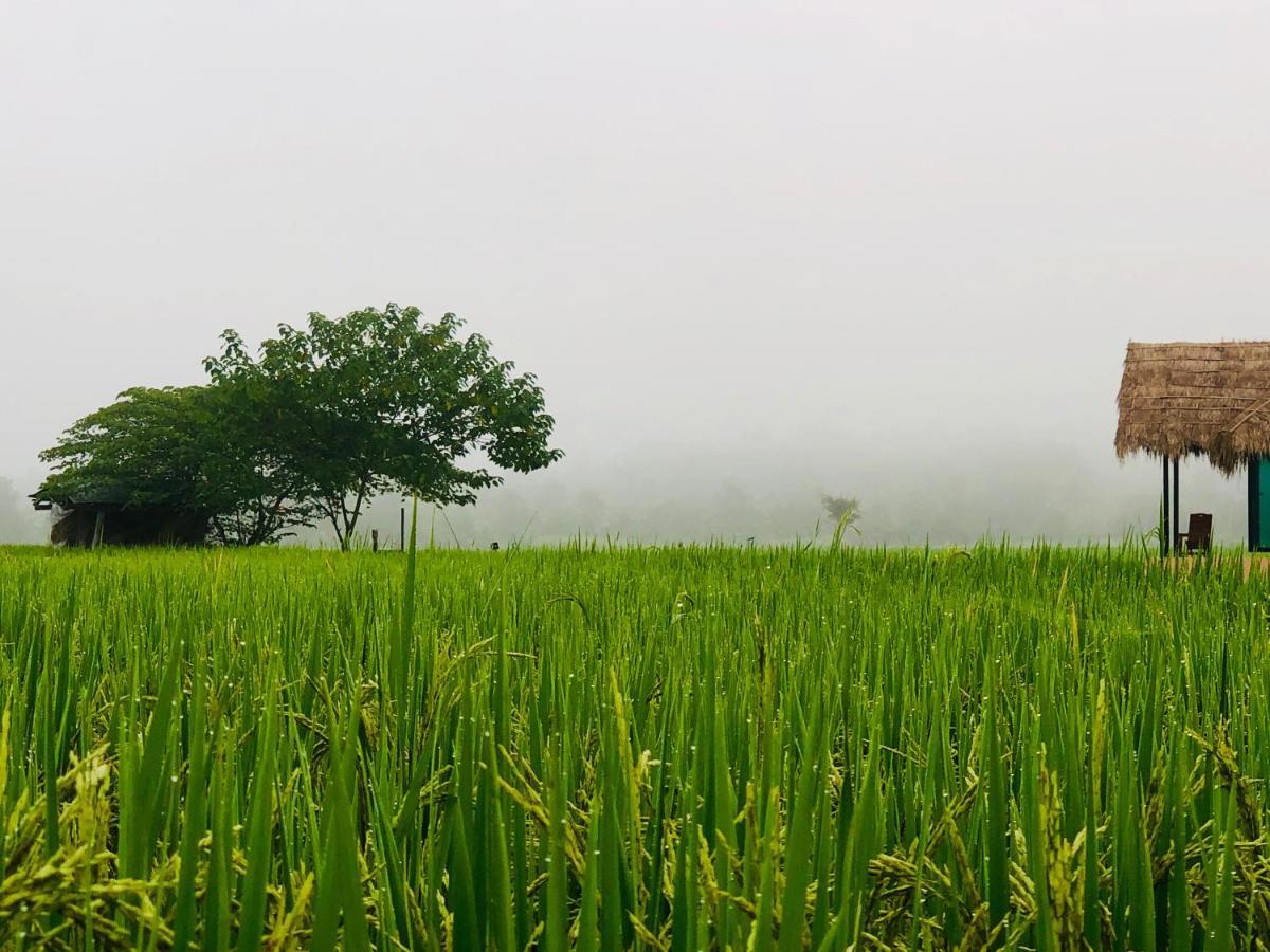 Baan Porhdoi Goidao Villa Chiang Dao Eksteriør billede