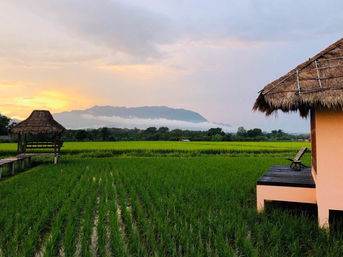 Baan Porhdoi Goidao Villa Chiang Dao Eksteriør billede