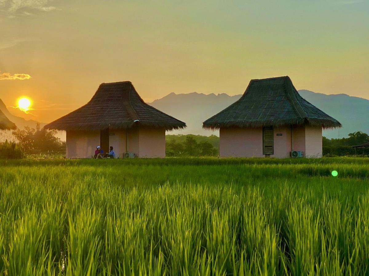 Baan Porhdoi Goidao Villa Chiang Dao Eksteriør billede