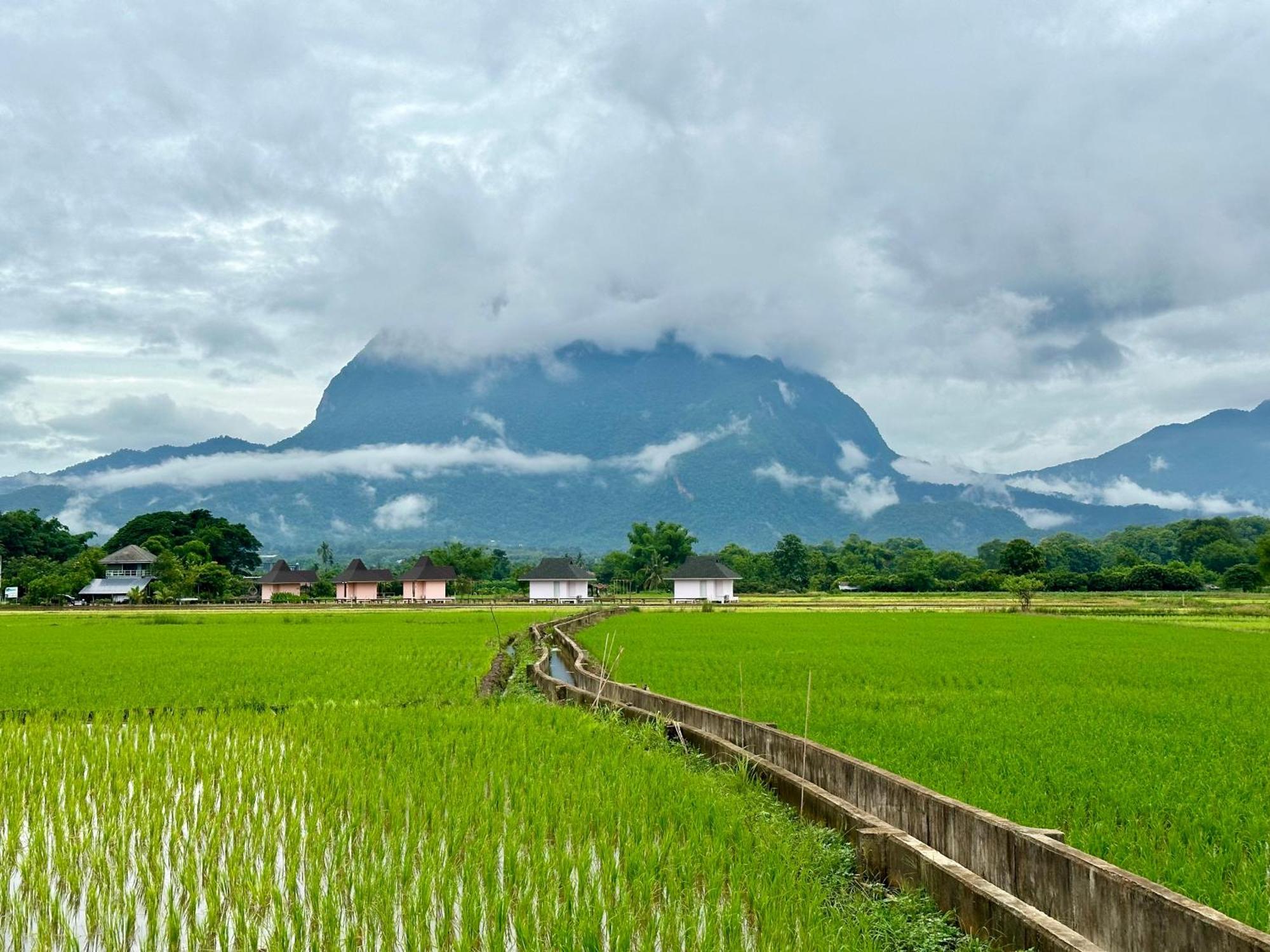 Baan Porhdoi Goidao Villa Chiang Dao Eksteriør billede